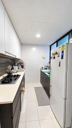Esparina Residences (D19), Condominium #628359511